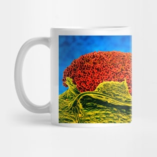 Rust fungus on mallow leaf (B275/0009) Mug